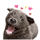 :bz1: